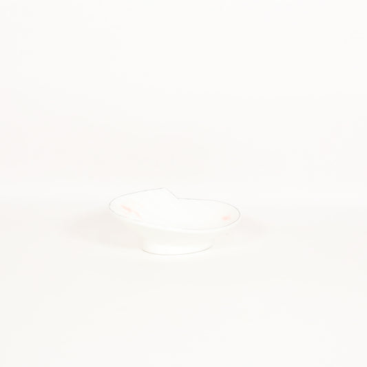 小鉢アンモナイト蔦草吹 ホワイト 14cm