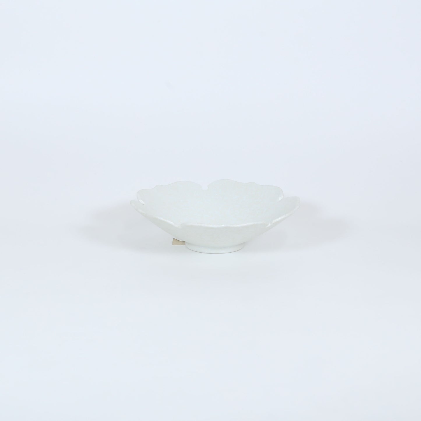 向付パール木甲渕 ホワイト 19cm