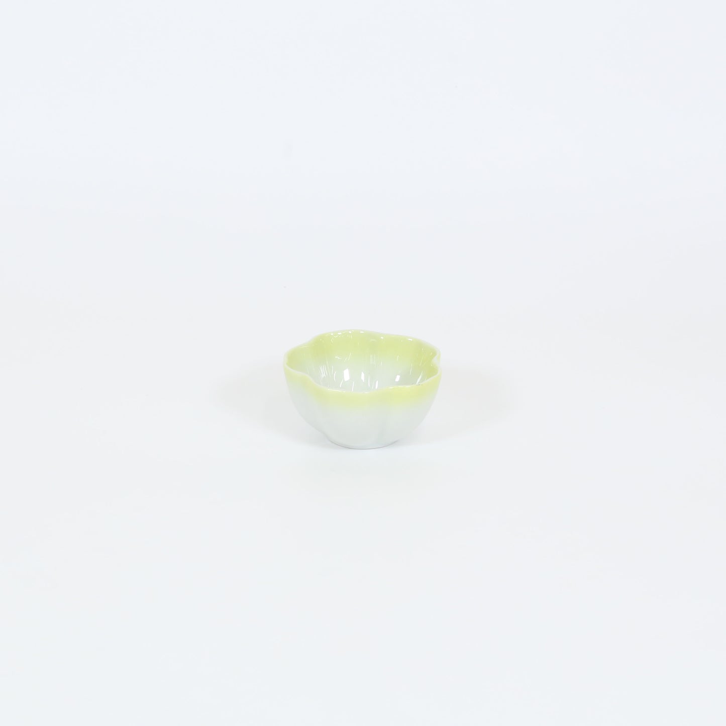 珍味桜 イエロー 7cm