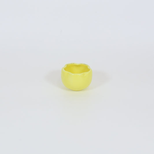 珍味桜 イエロー 6cm