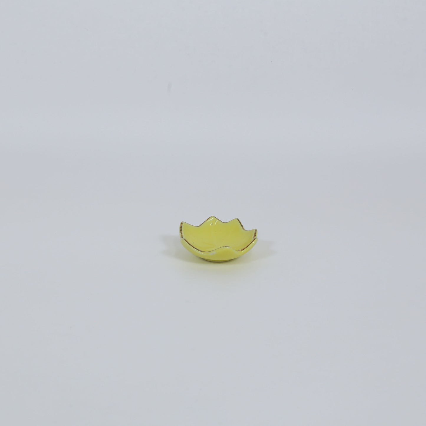 珍味紅葉 イエロー 6cm