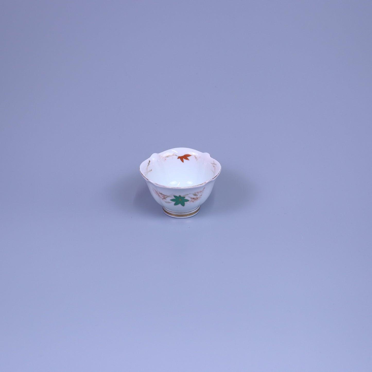 小鉢松葉と紅葉 レッド10cm