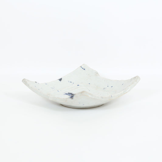 向付紺しぶき格子 ホワイト 18cm