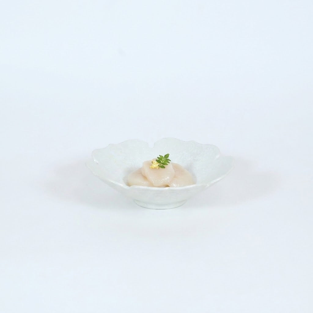 向付パール木甲渕 ホワイト 19cm