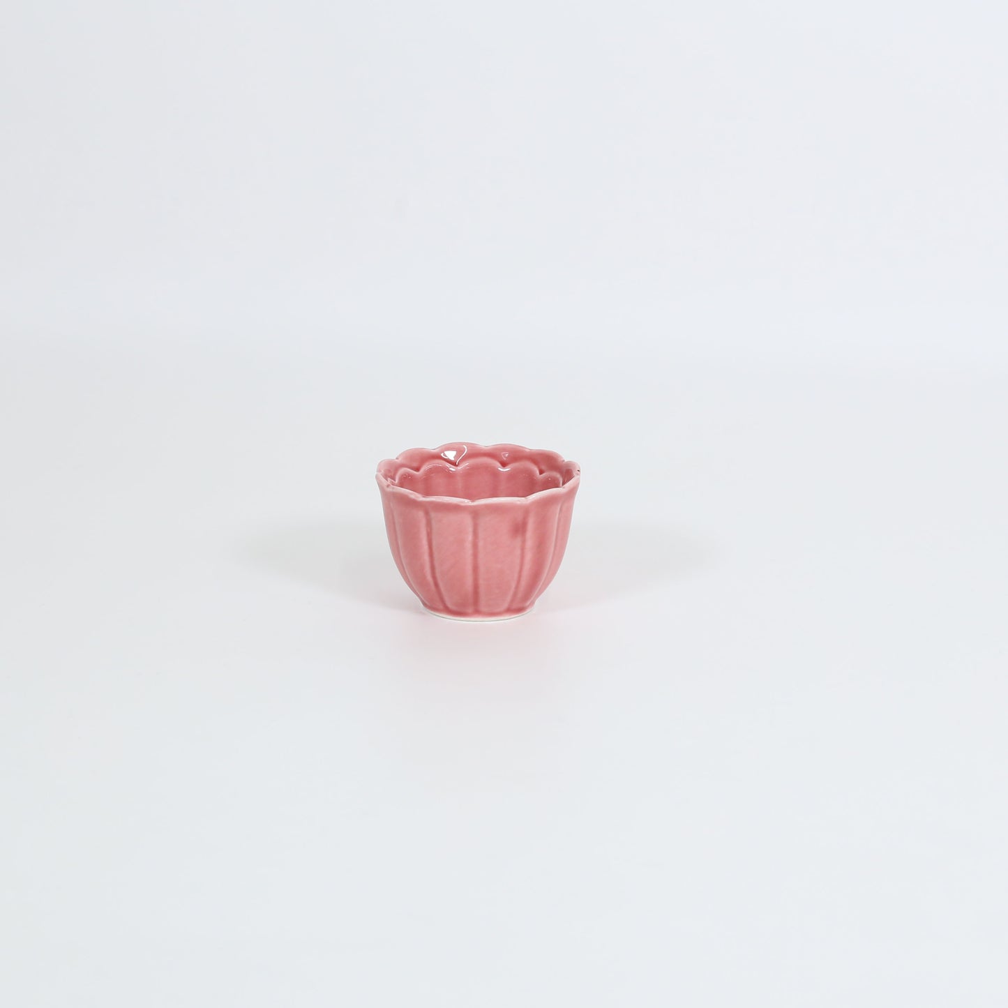 珍味新菊淡紅 レッド 7cm