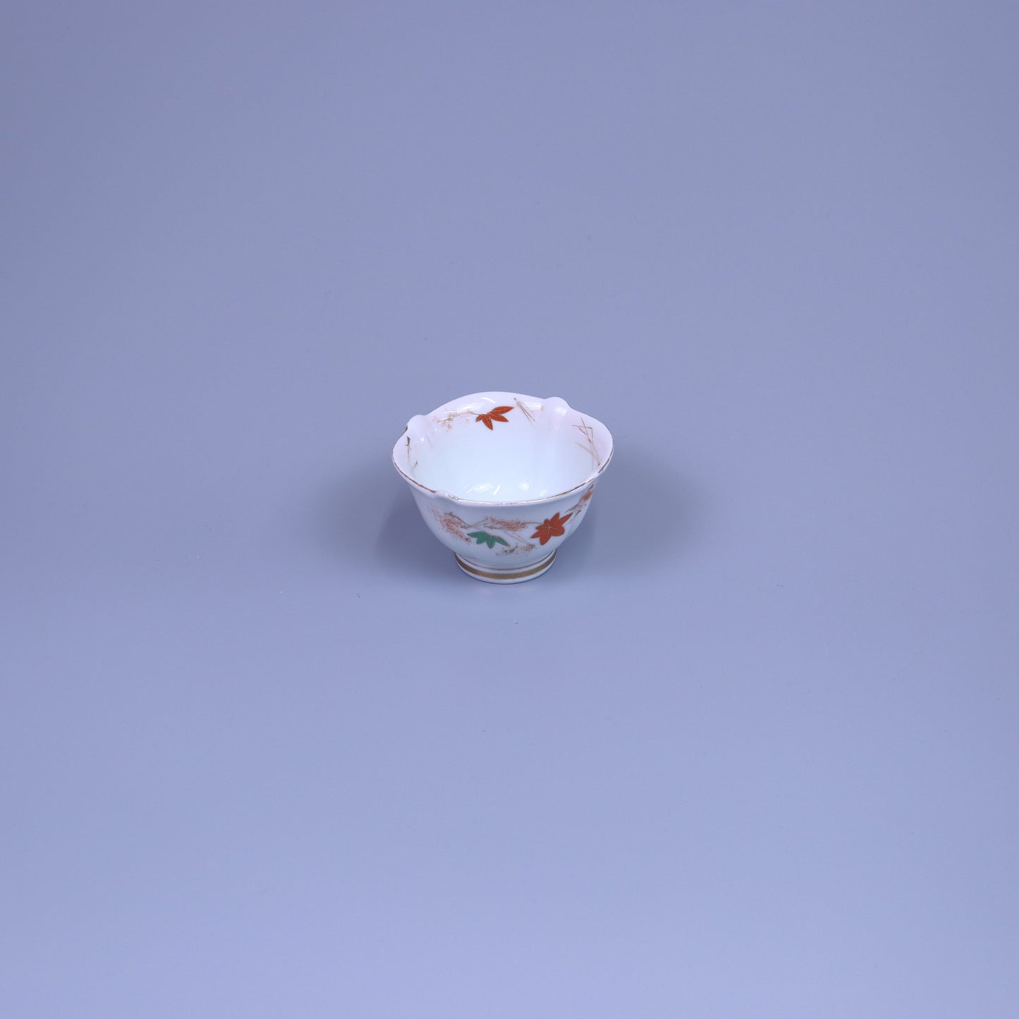 小鉢松葉と紅葉 レッド10cm