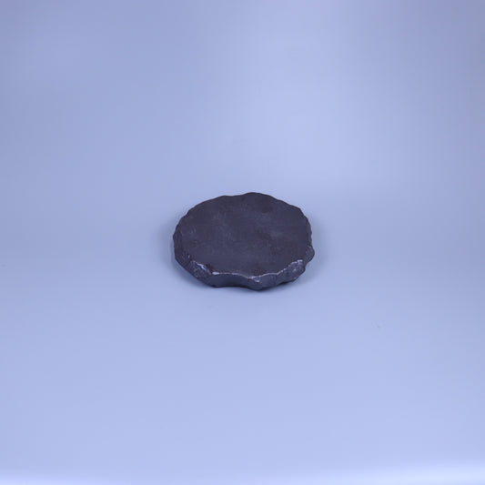 ロックプレート ブラック 20cm